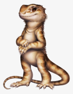111 20 Bearded Dragon - Bearded Dragon Png