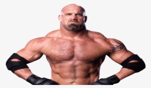 When It Was Revealed That Wwe 2k17 Would Have Former - Goldberg Png