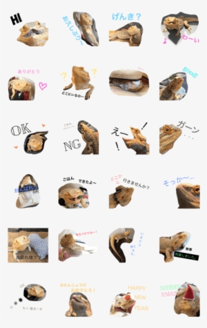 Bearded Dragon Raisin - Slug