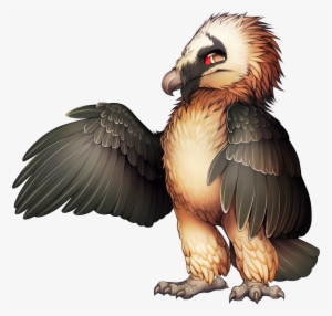 Bird Of Prey Bearded Vulture Egyptian Vulture - Bearded Vulture Png