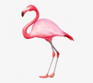 Flamingo Template At Getdrawings Graphic Black And - Flamingo Png