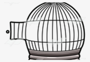 Clip Art Free Bird With K Pictures Full Hq Wallpaper - Twitter In The Bird Cage