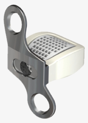 Contact Us - Garlic Press