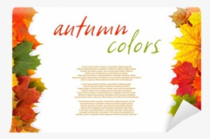 Colorful Fall Leaf Border