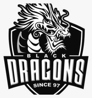 Black Dragons E-sports Revela Equipe De Overwatch Reformulada - Black Dragons E Sports