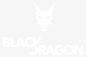 The Story - Black Dragons E Sports