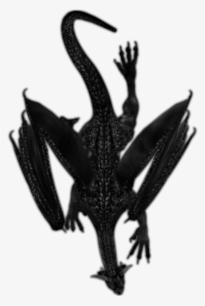 24 Mar 2009 - Dundjinni Dragon