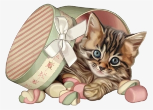 Imageedit 15 9424479603 Cat Colors, Cute Cats, Kittens - Cat