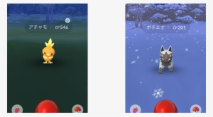 Torchic Evolution Pokemon Go