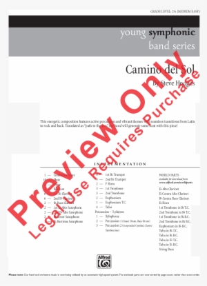 Camino Del Sol Thumbnail Camino Del Sol Thumbnail - City Of Steel Violin 1