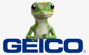 Usa Water Ski & Wake Sports Member Discount Overview - Geico Car Insurance Logo