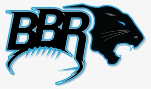 Bill Voth On The Carolina Panthers - Logo Bbr