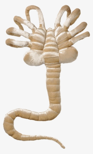 Alien Facehugger Prop Licensed - Alien Facehugger Plush