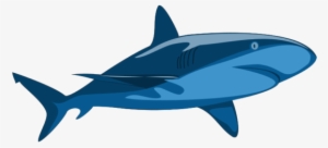 Shark Pure - Vector Clip Art Shark