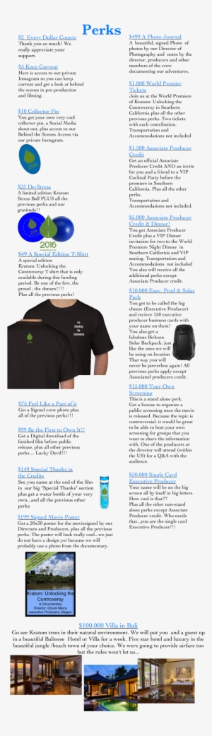 The Impact - Brochure