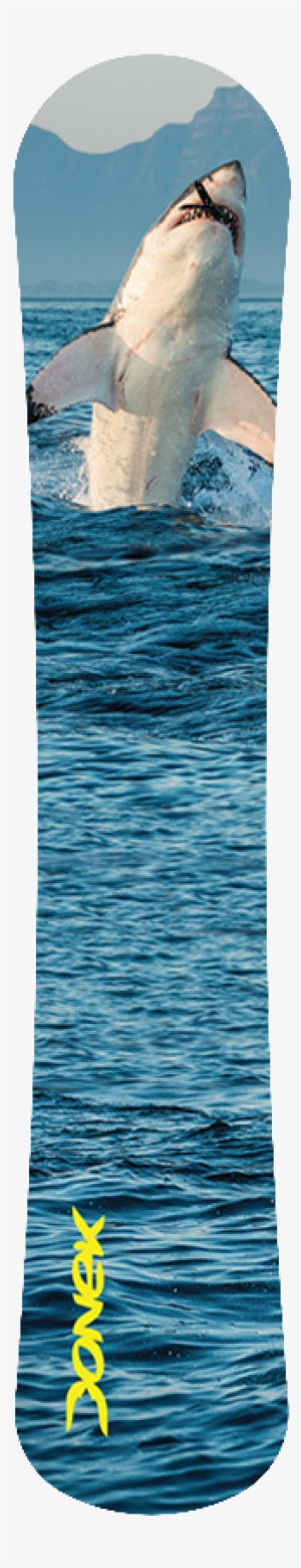 Shark Attack - Læs Med Sebastian Klein: Verdens Farligste Hajer (bog)