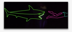 Share - Cartilaginous Fish