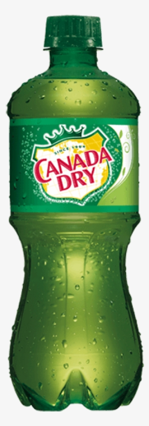 Canada Dry Ginger Ale 20 - Canada Dry Ginger Rail