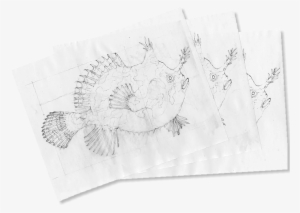 I Sandwich Each Copy With A Piece Of Color Paper And - Sketch