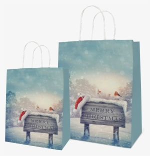 Paper Bags - Once Upon A Christmas [book]