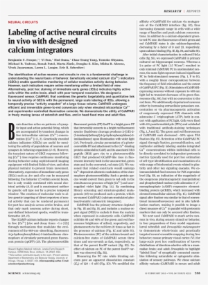 Ferderal Minimum Wage Poster