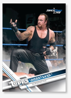 Professional Wrestling