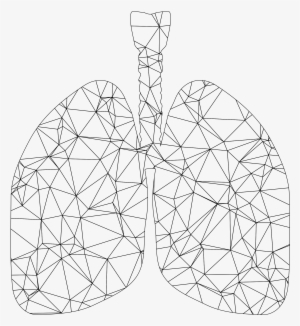 This Free Icons Png Design Of Low Poly Wireframe Lungs