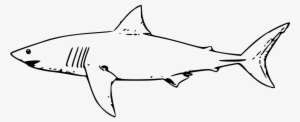 Shark Fish Great White Shark - Lemon Shark Coloring Pages