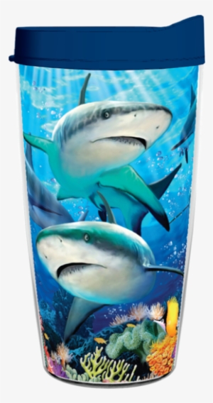 Animals And Wildlife - Ravensburger - Caribbean Smile Puzzle 60 Pieces