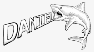 You Can Edit This Great White Shark Drawing Com Free - Cool Drawings Of Sharks
