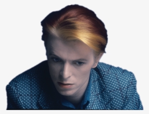 David Bowie Looking Down - David Bowie Who Can I Be Now (1974 To 1976) Vinyl Record