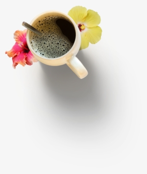 Christopher And Aniko Somogyi - Coffee Cup