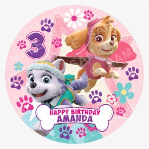 Skye And Everest - Skye Happy 3rd Birthday Party Supply And Balloon Bundle