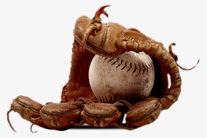 Baseball Glove Png Download - Baseball And Glove Png