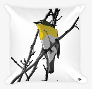 Yellow-breasted Chat