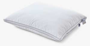 Pillow Comfort Nature - กล่อง ไฮ บ ริ ด กระดาษ เฟส ท์
