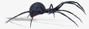 Spiders - Паук Пнг