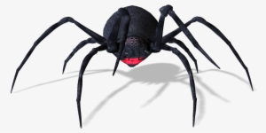 Spiders - Black Widow