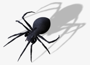 Publicat De Eu Ciresica La - Transparent Spider Png