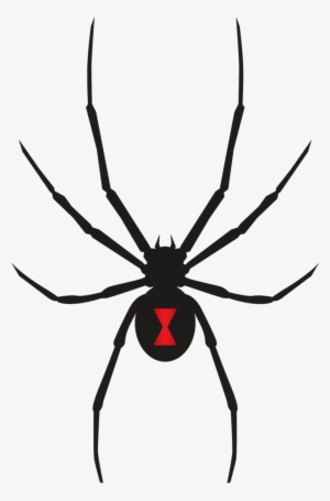 Black Widow Spider Company Logo 2 By Julie - Black Widow Spider Flat