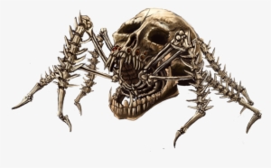 Skull Spider By Chaotickite On Deviantart - Spider In A Skull
