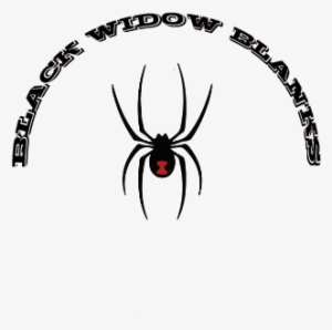 Black Widow