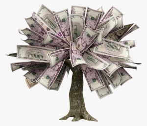 How To Grow A Money Tree - Money Tree Transparent