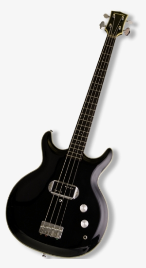 Black Widow Bass - Acoustic Black Widow Spider