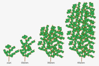 Money Tree - Money Tree Growth Rate