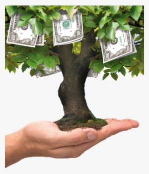 A Ccu Is A Way For A Co Operative To Raise Money, Other
