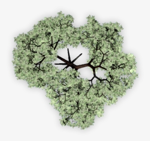 Moneytree 06 Feb 2009 - Circle