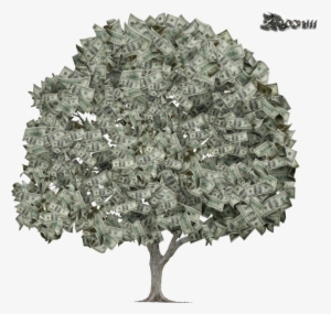 Share This Image - Money On Trees Meme