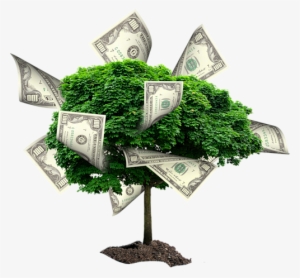 Money Trees - Saral Vastu Cg Parivar