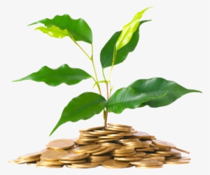 While Advanced Power Strips Are Typically More Expensive - Aspectos Mercadologicos Da Producao De Compensados